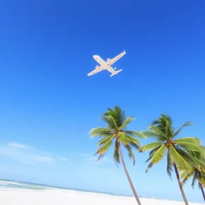 Airplane soaring over palm trees and sandy beach.