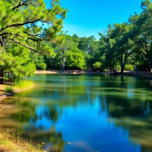 A Florida state park landscape illustrating the beauty of nature with potential development in the distance.