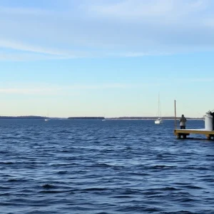 Fishermen in Tampa Bay during a cold snap