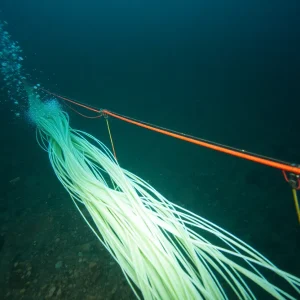 Severed Undersea Data Cable