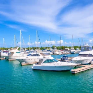 Marina in Florida Keys