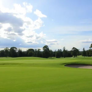 Close Up of a Beautiful Golf Course